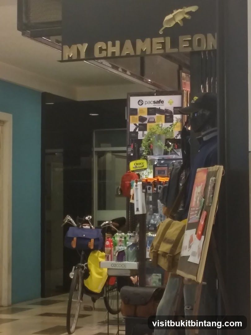 MyChameleon Publika
