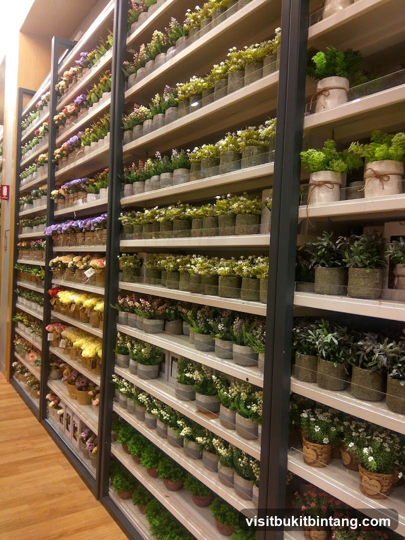 Artificial Plants Display