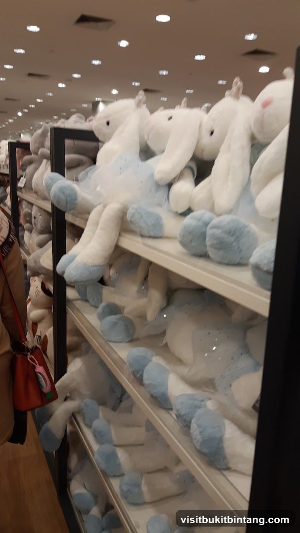 Plush Toys on Shelves