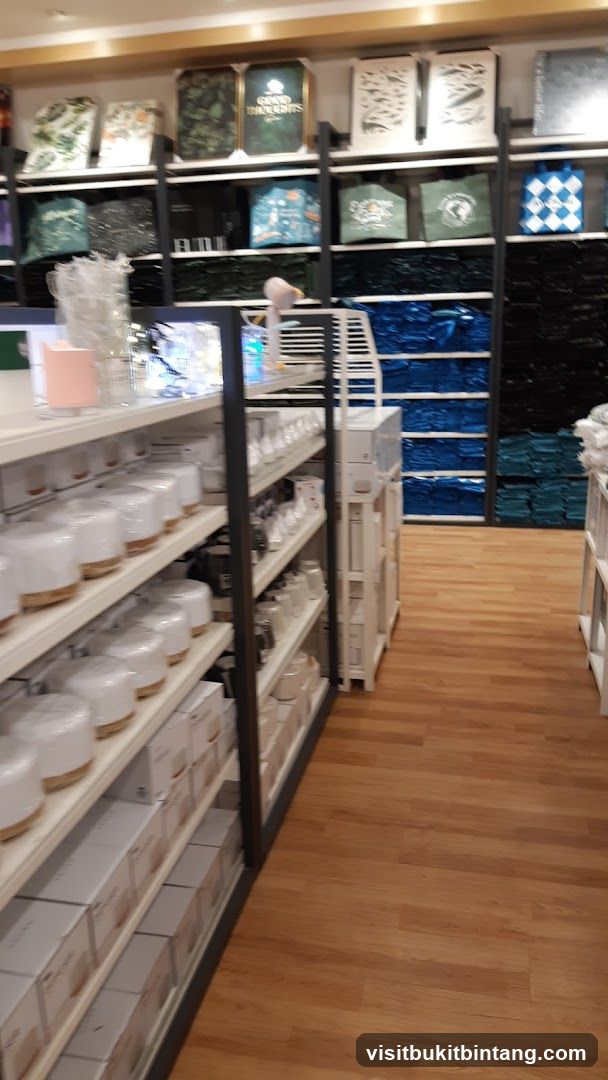 Home Goods Store Interior