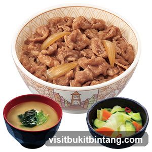 Beef bowl set