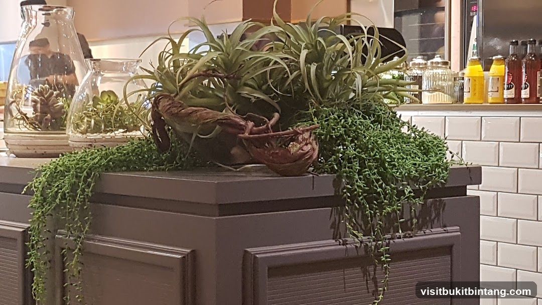 Decorative Plants and Jars