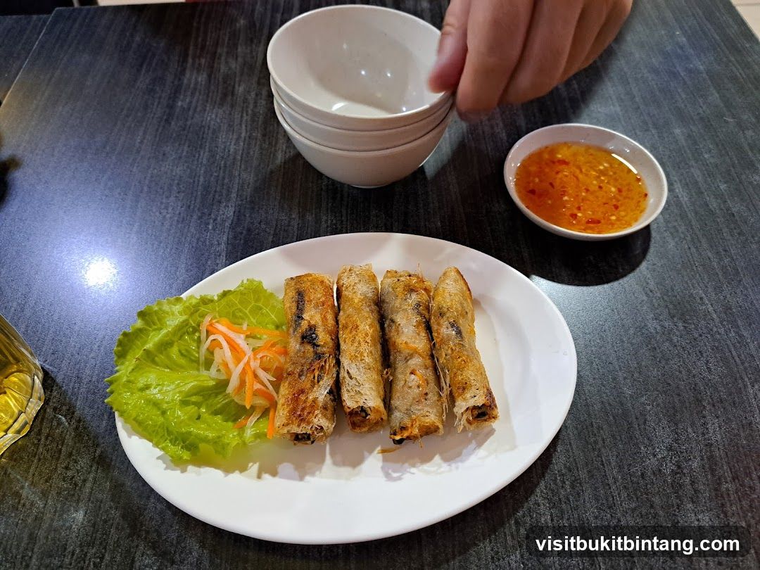 Fried Spring Rolls with Dipping Sauce