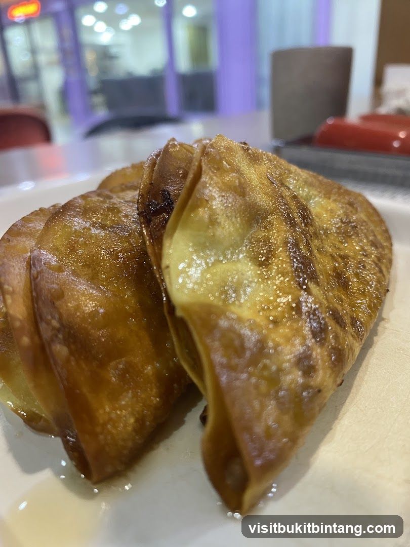 Fried Dumplings
