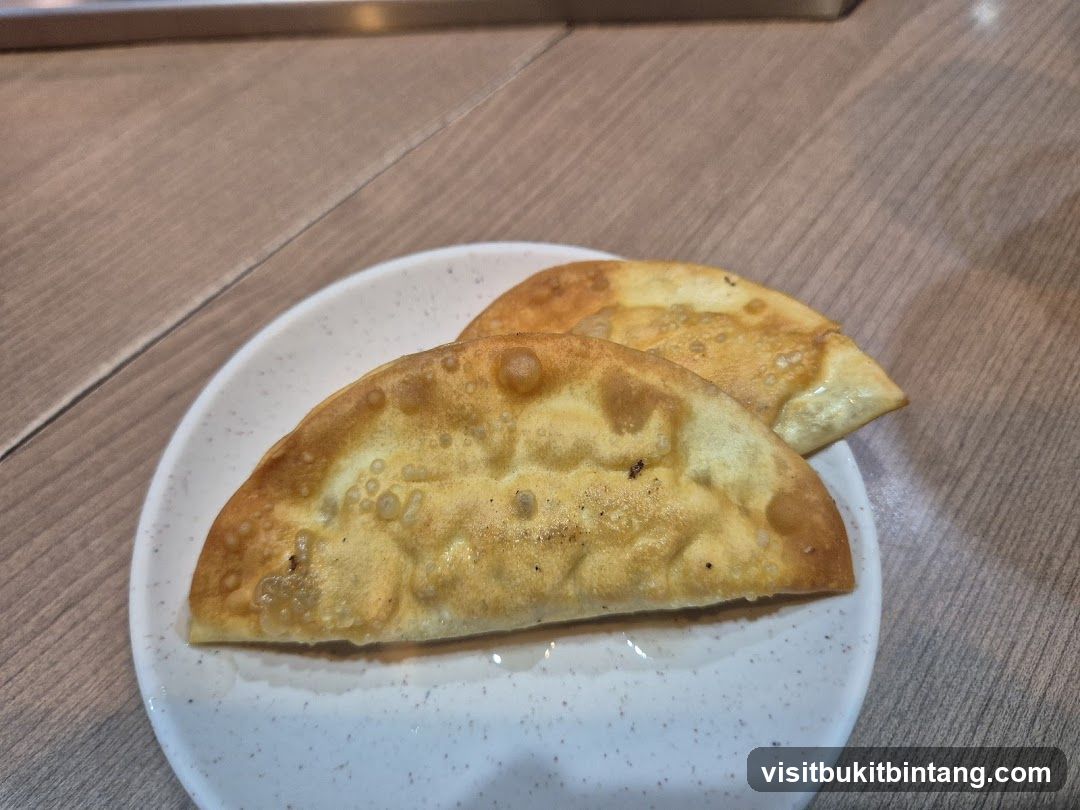 Fried Dumplings