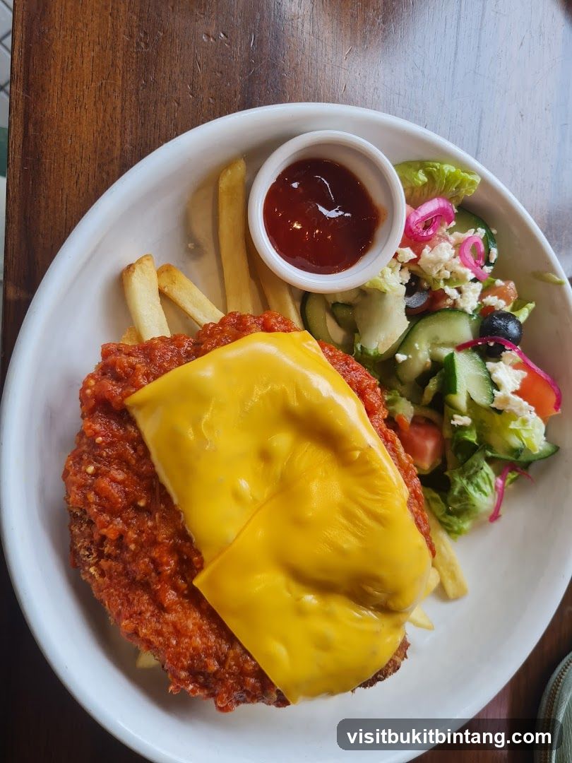 Chicken dish with fries and salad