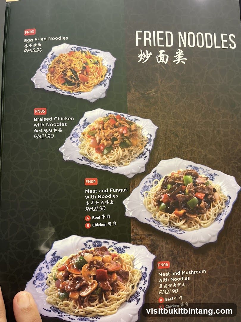 FRIED NOODLES
