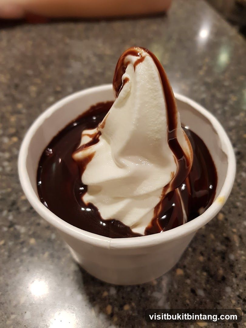Soft Serve Ice Cream with Chocolate Sauce