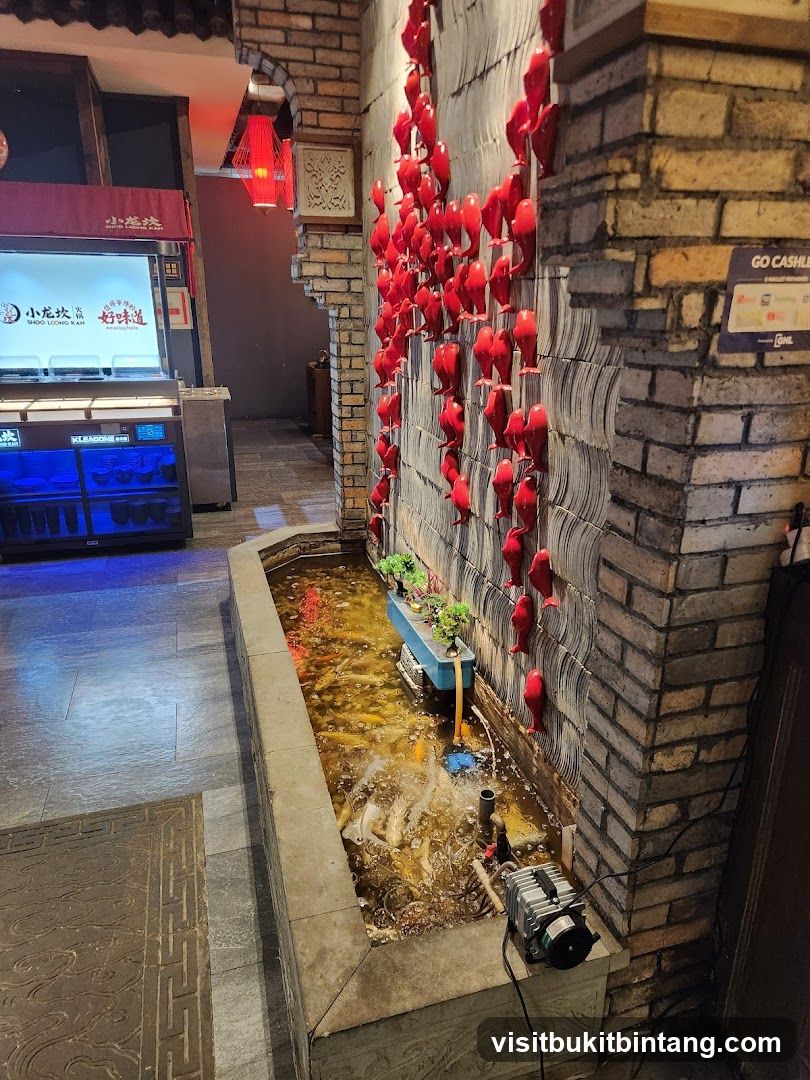 Interior with decorative fish wall and food display