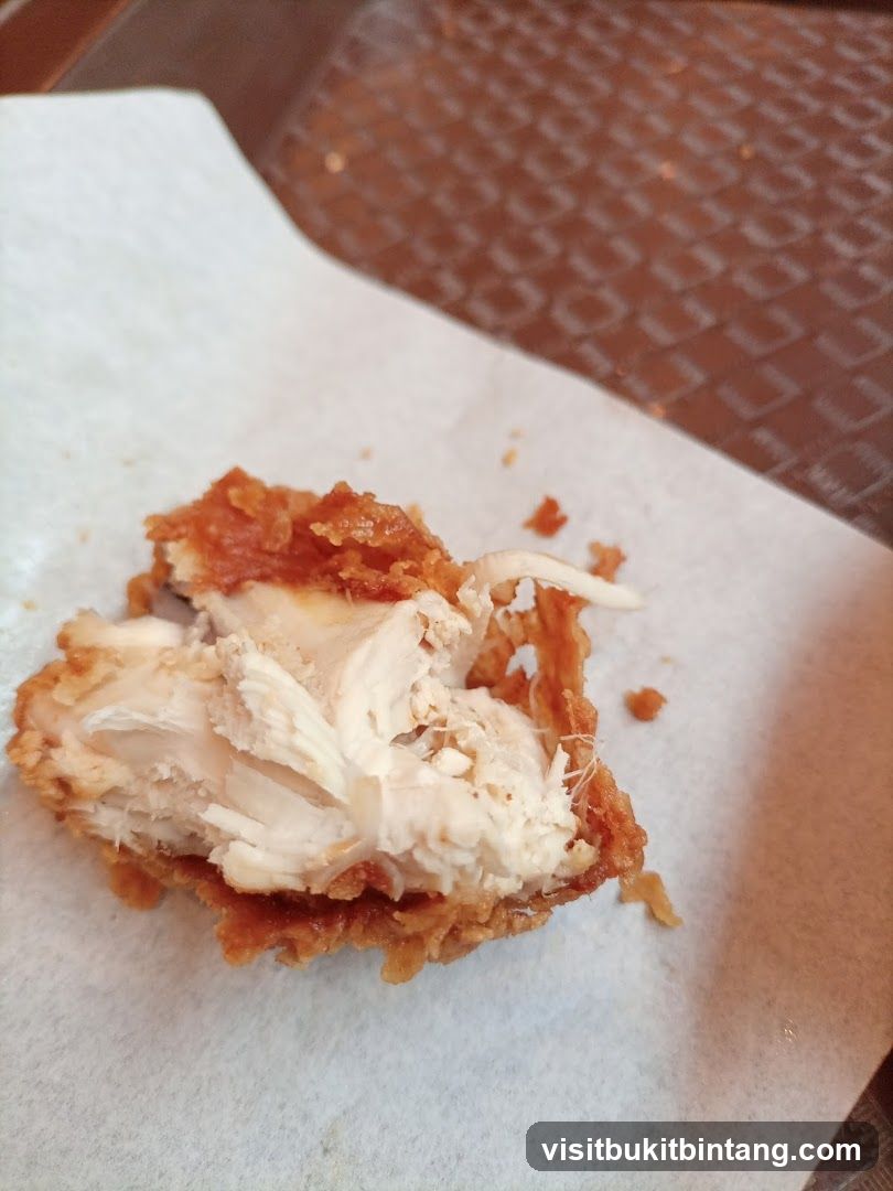 Fried Chicken Piece