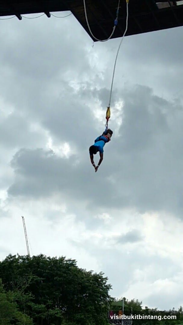 Bungee Jumper