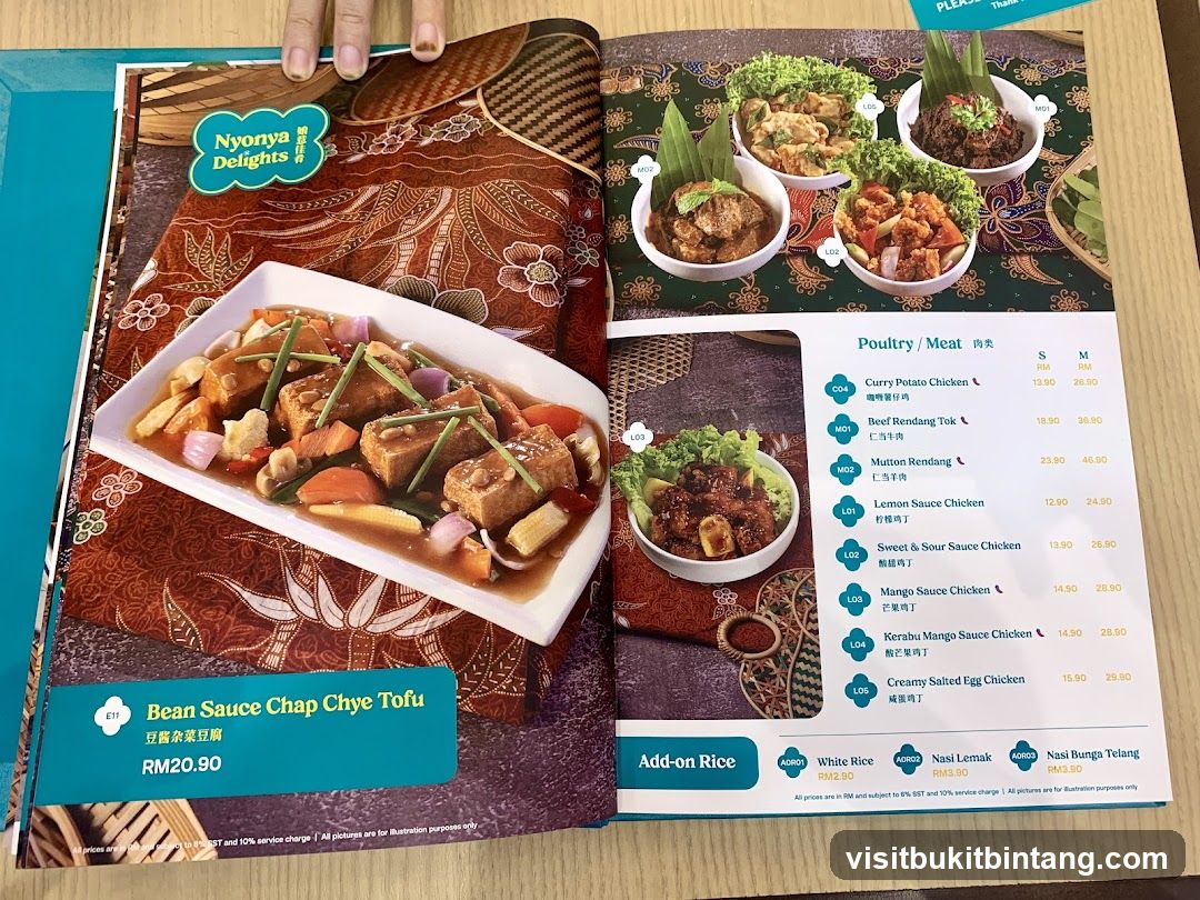 Nyonya Delights Menu