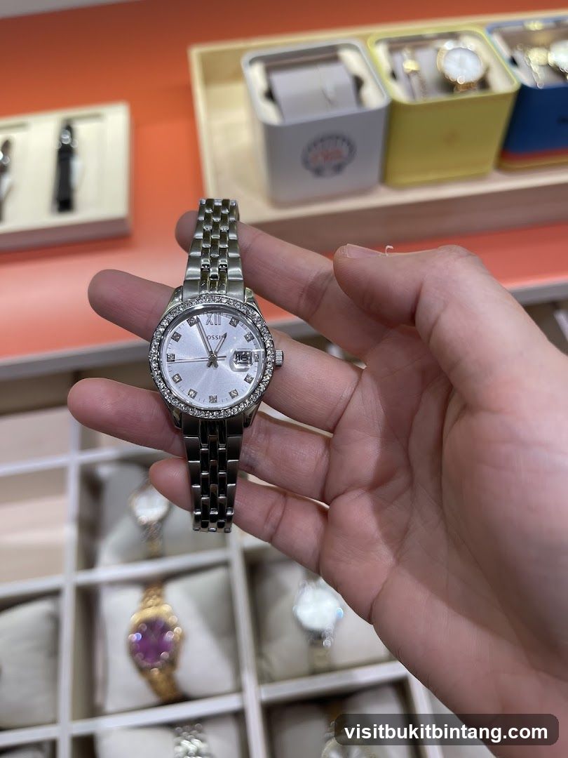 Fossil Watch Display