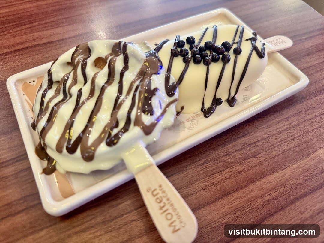 Chocolate and Blueberry Ice Cream Bars