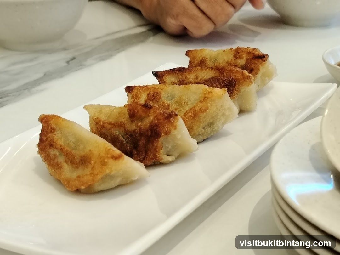 Pan-fried dumplings