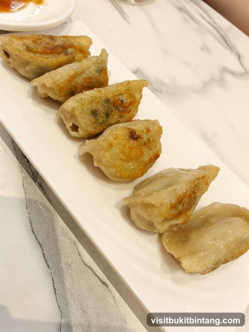 Pan-fried dumplings