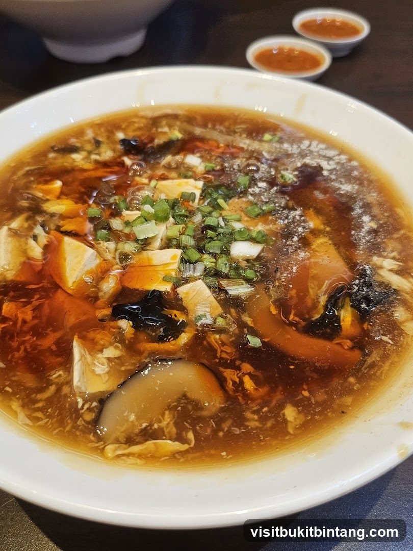Hot and Sour Soup