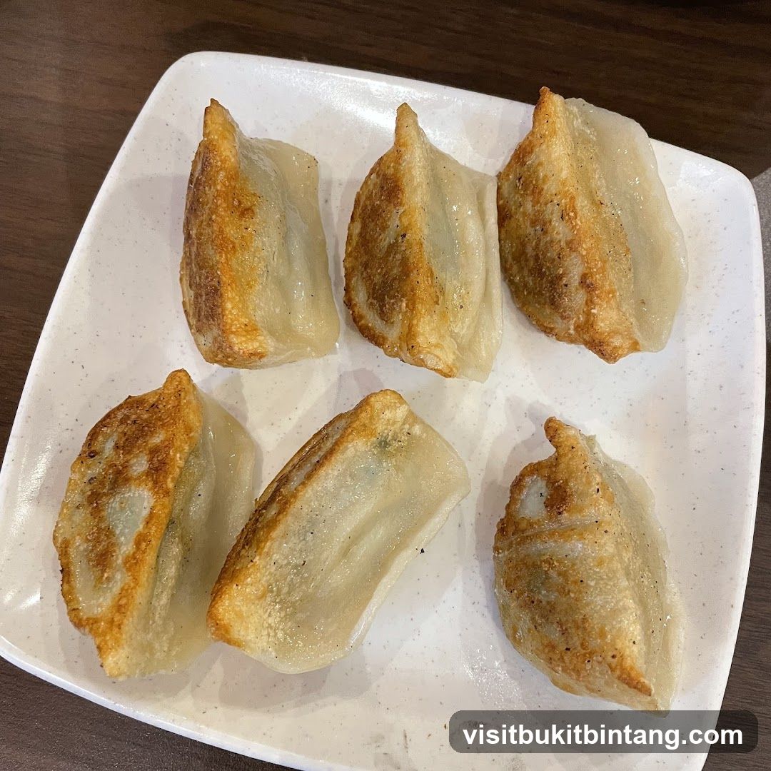 Pan-fried dumplings
