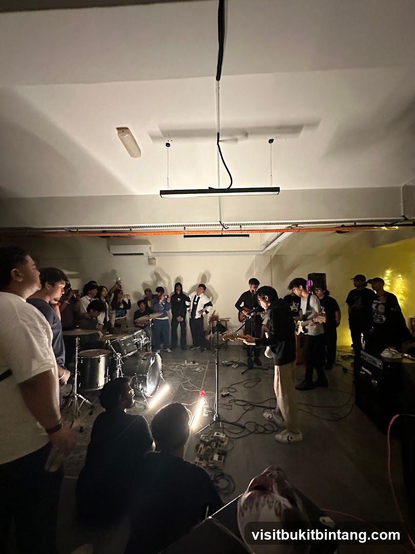 Live Music Performance