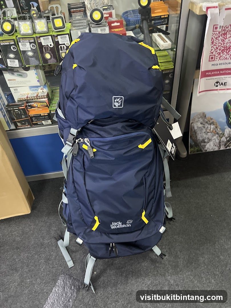 Backpack Display