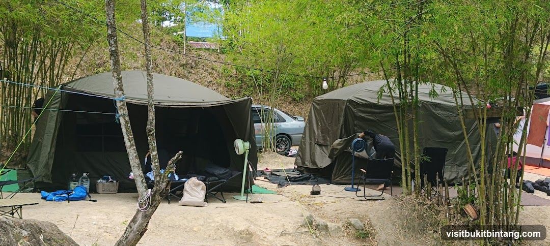 Campsite with Tents and Bamboo Forest