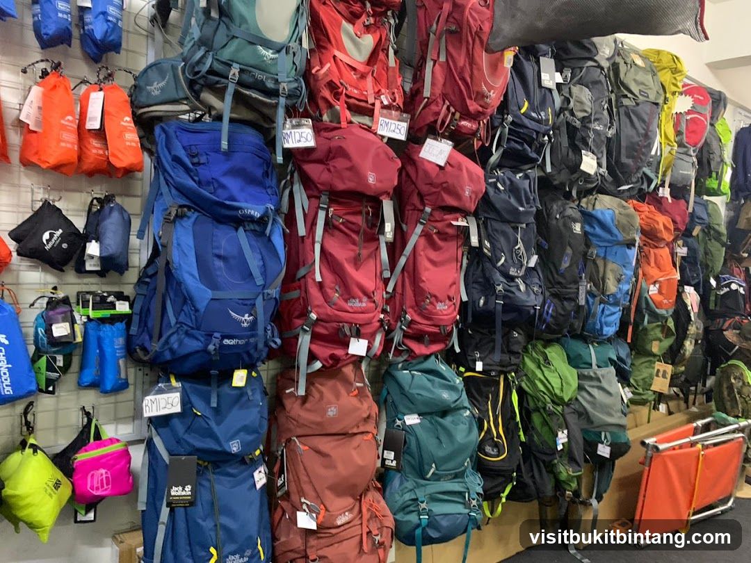 Backpacks and Outdoor Gear Display