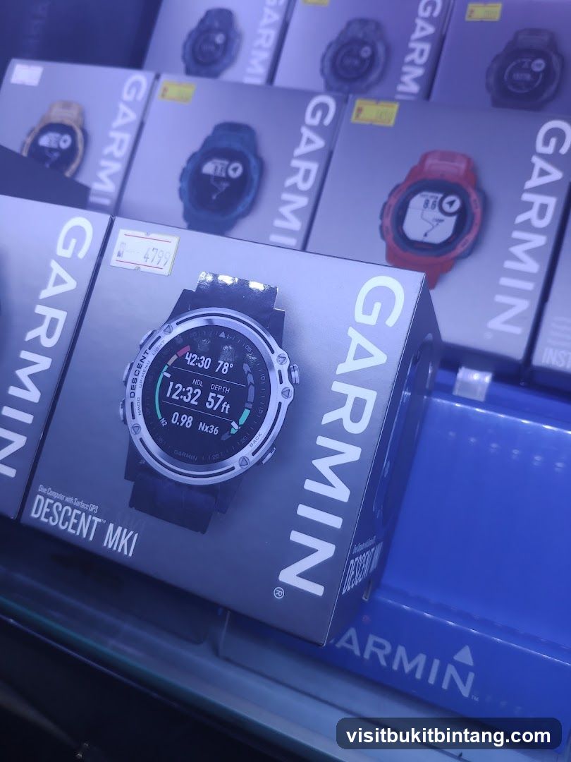 Garmin Watch Display