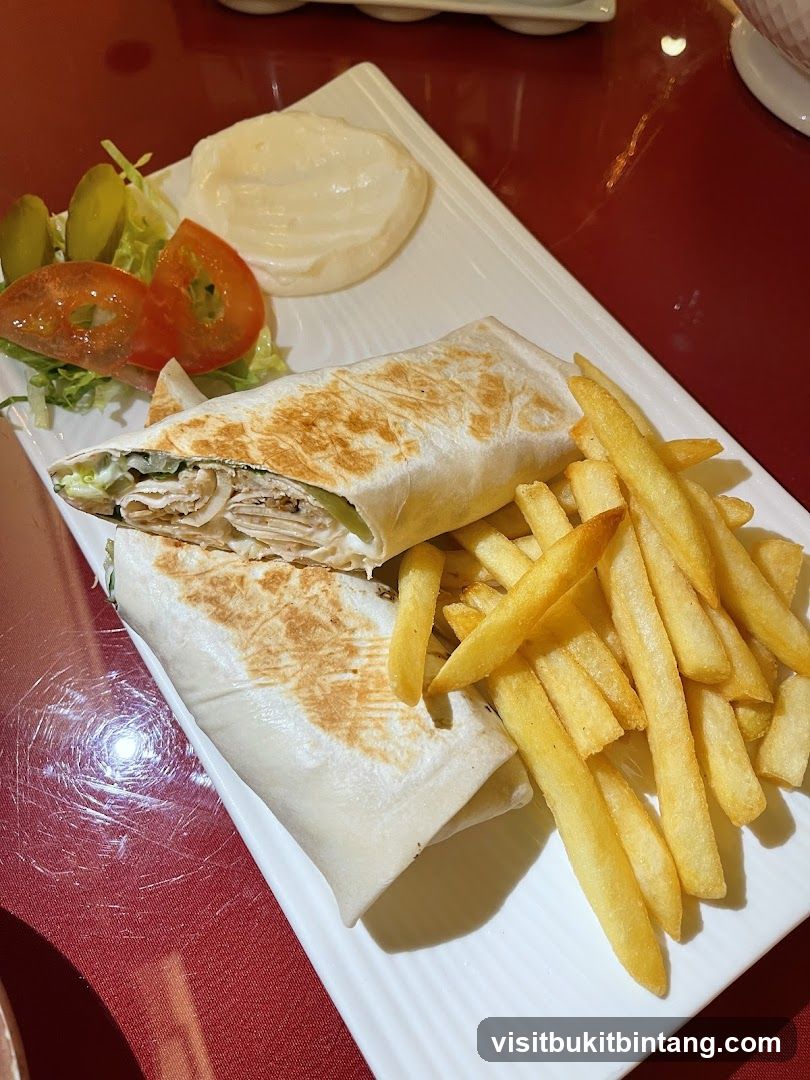 Grilled Wrap with Fries and Salad
