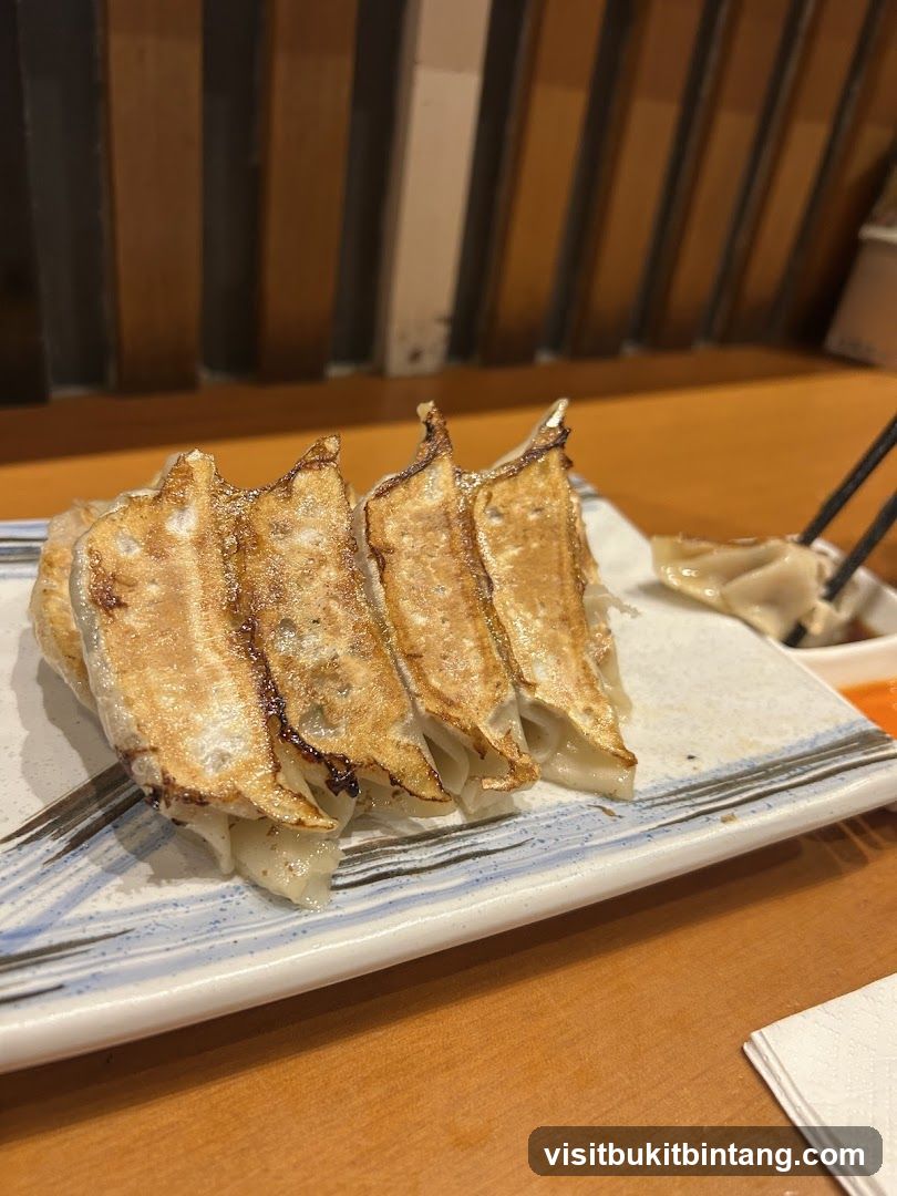 Gyoza on a plate