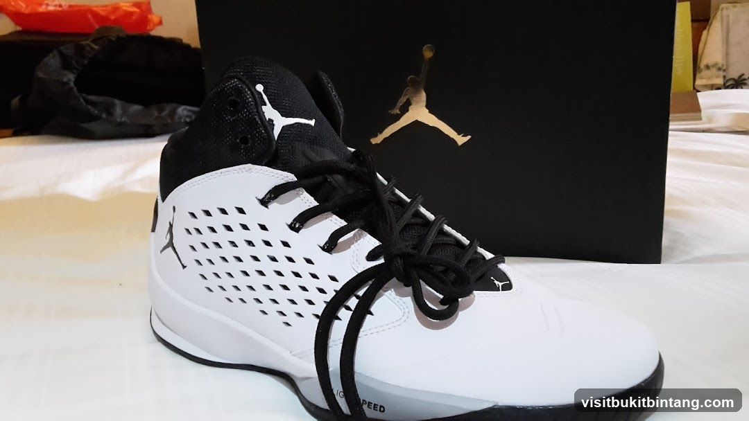 Air Jordan Shoe Display