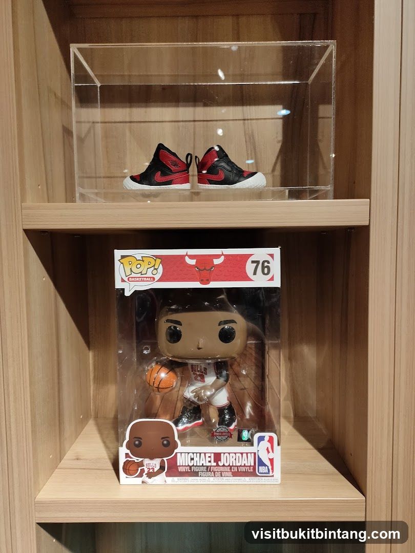 Collectibles Display
