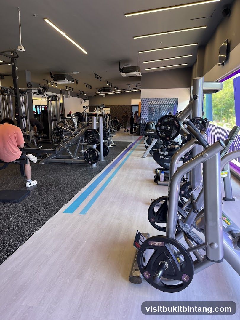 Gym Interior