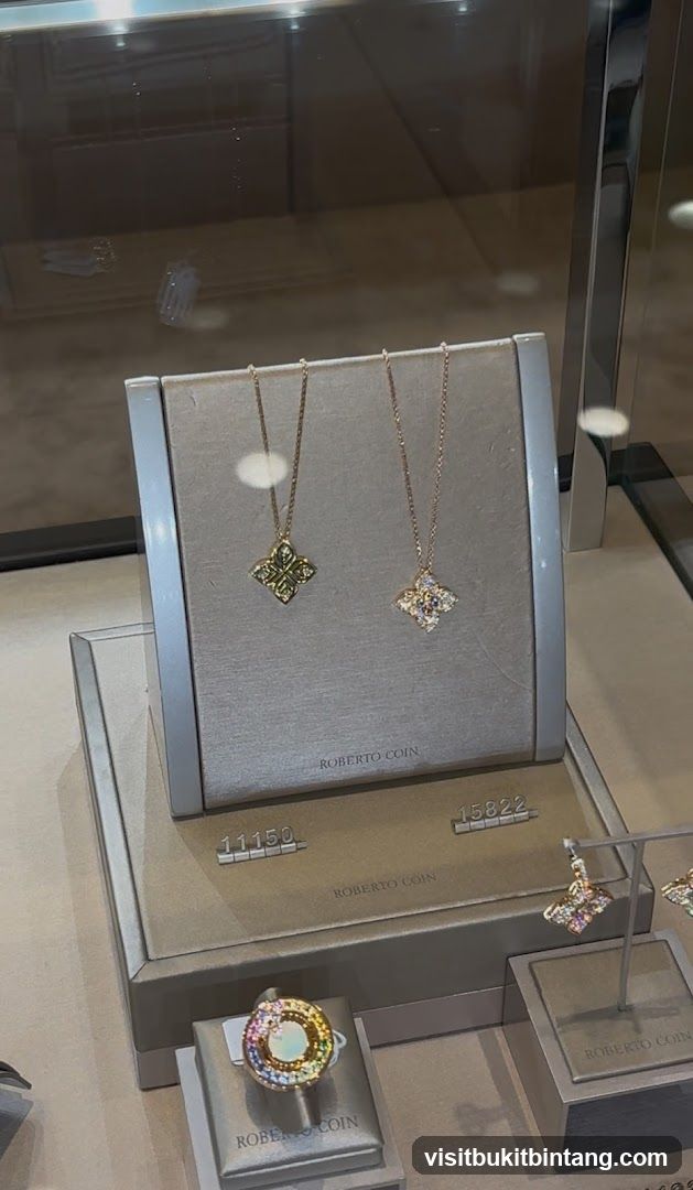 Jewelry Display Case