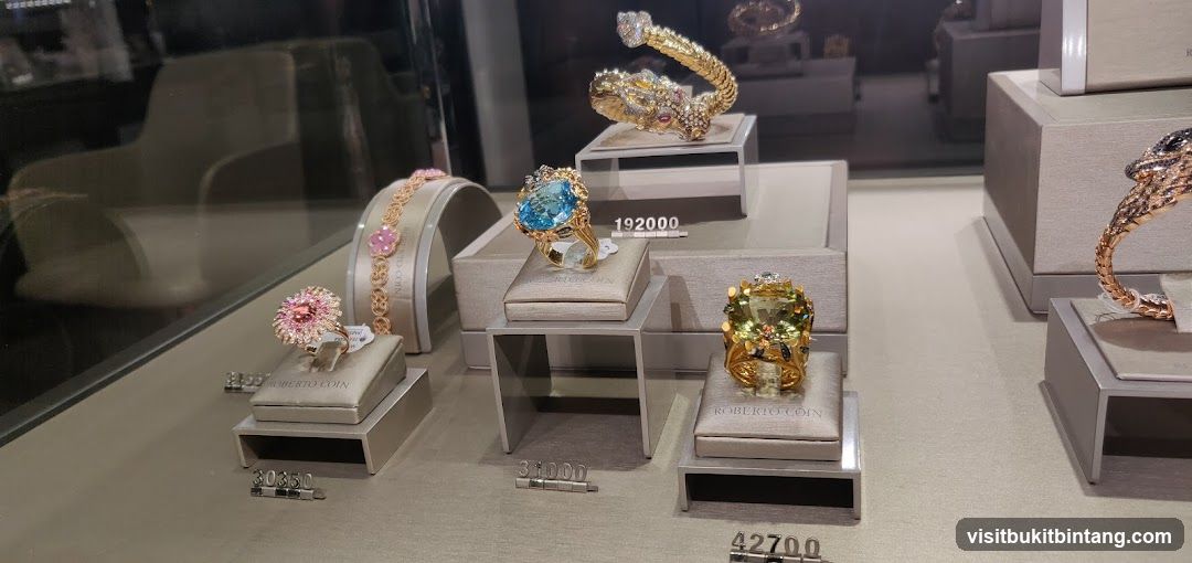 Jewelry Display Case