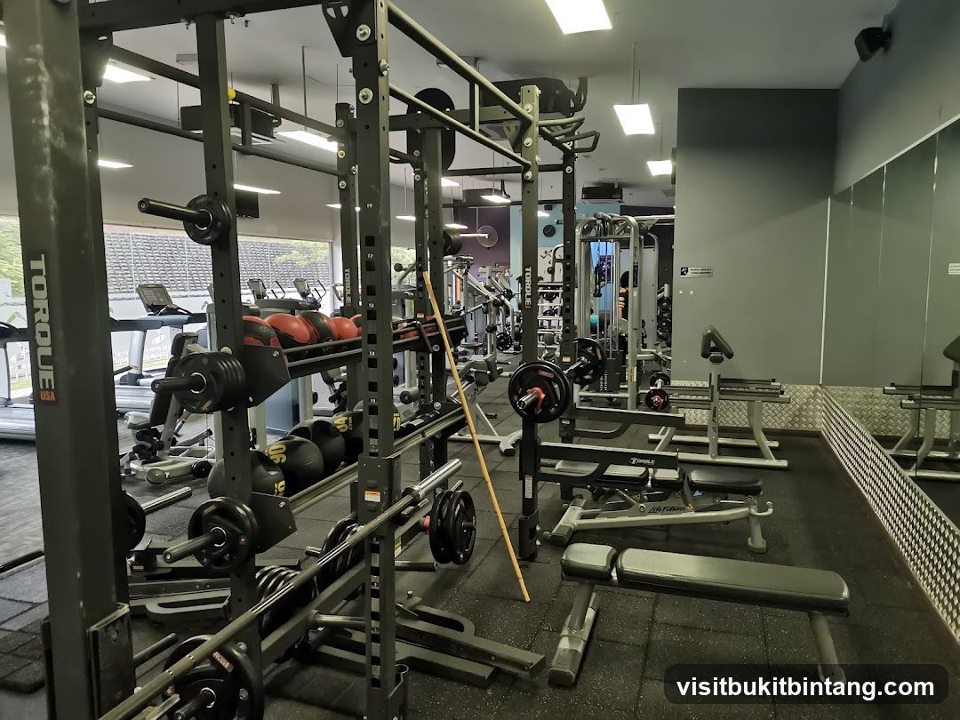 Gym Equipment