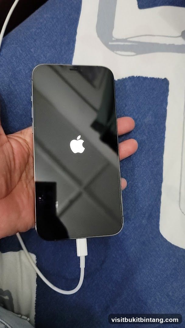 iPhone on Charging Cable