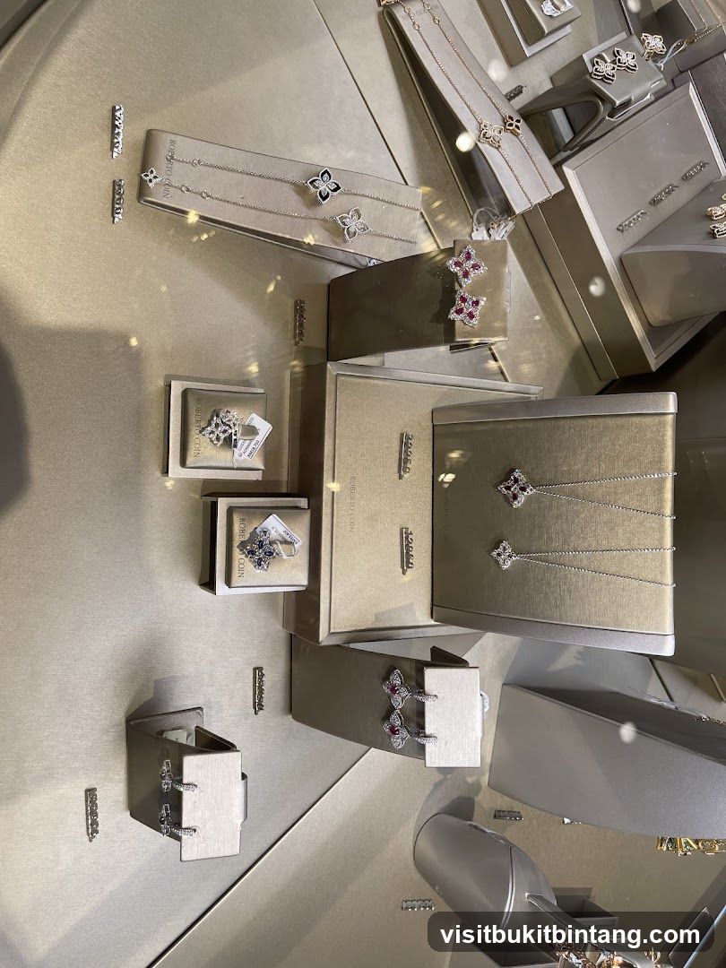 Jewelry Display Case