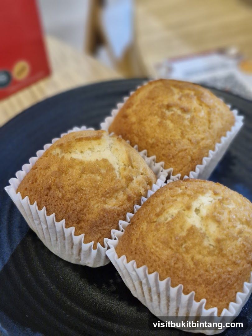 Muffins on a Plate
