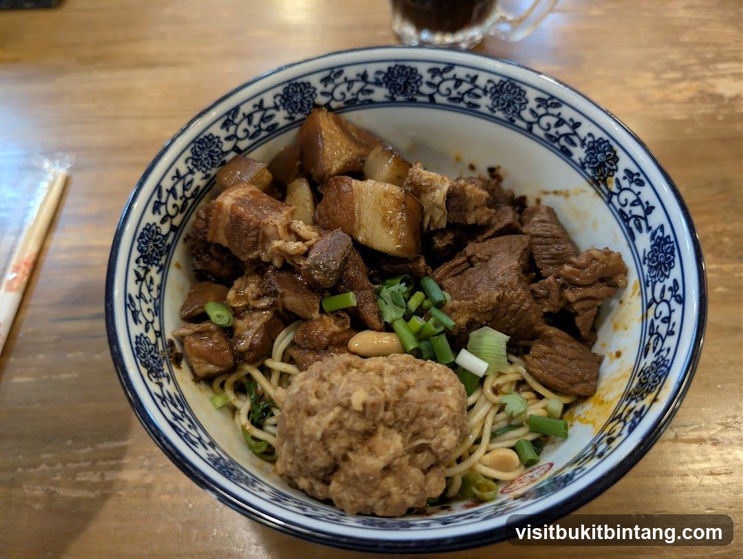 Bowl of Braised Pork Noodles with Meatball