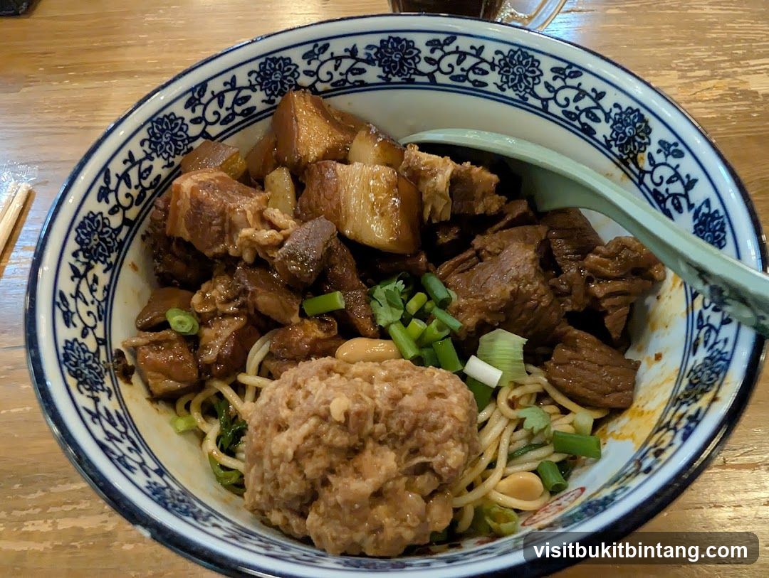 Bowl of Braised Pork Noodles with Meatball