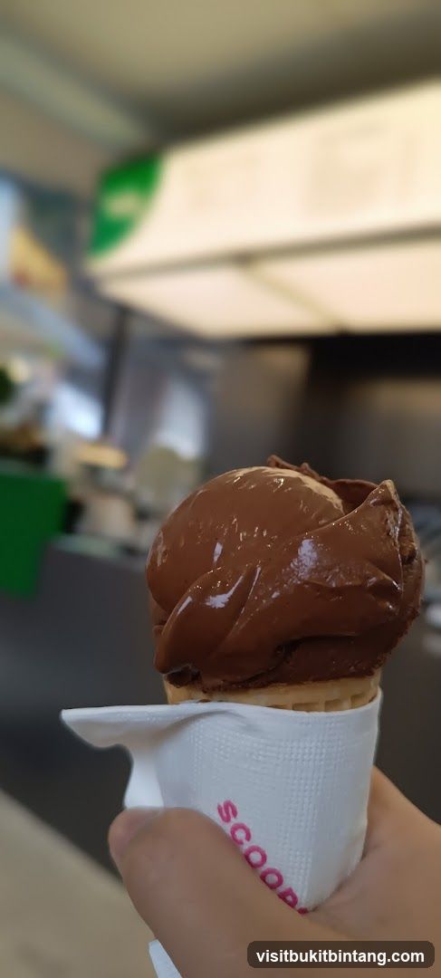 Chocolate Ice Cream Cone