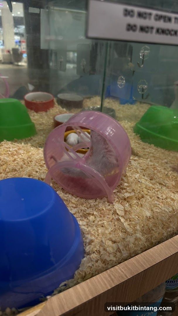 Petswonderland @ Elmina Lakeside Mall