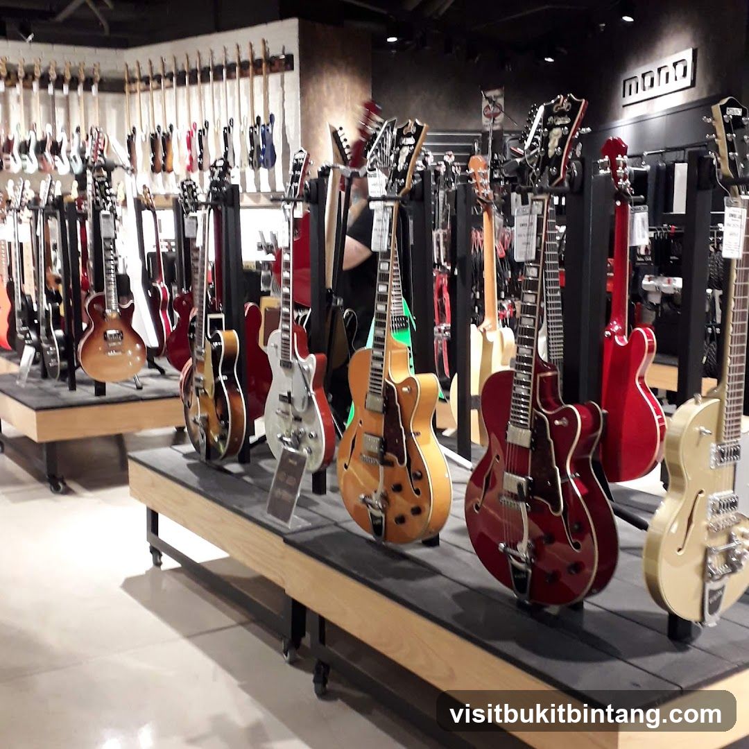 Guitars on Display
