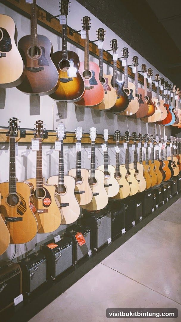 Guitars and Amplifiers on Display