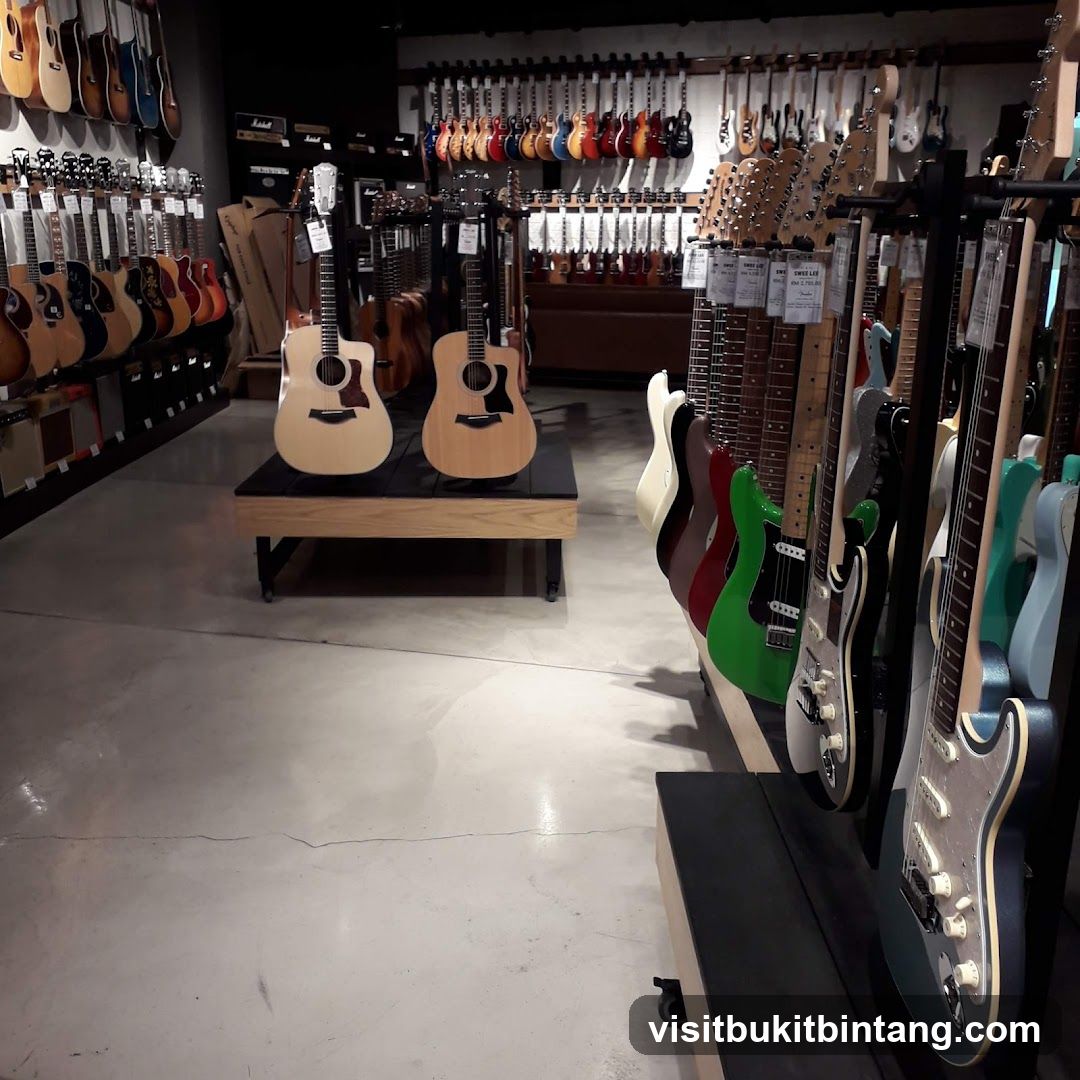 Guitars on Display