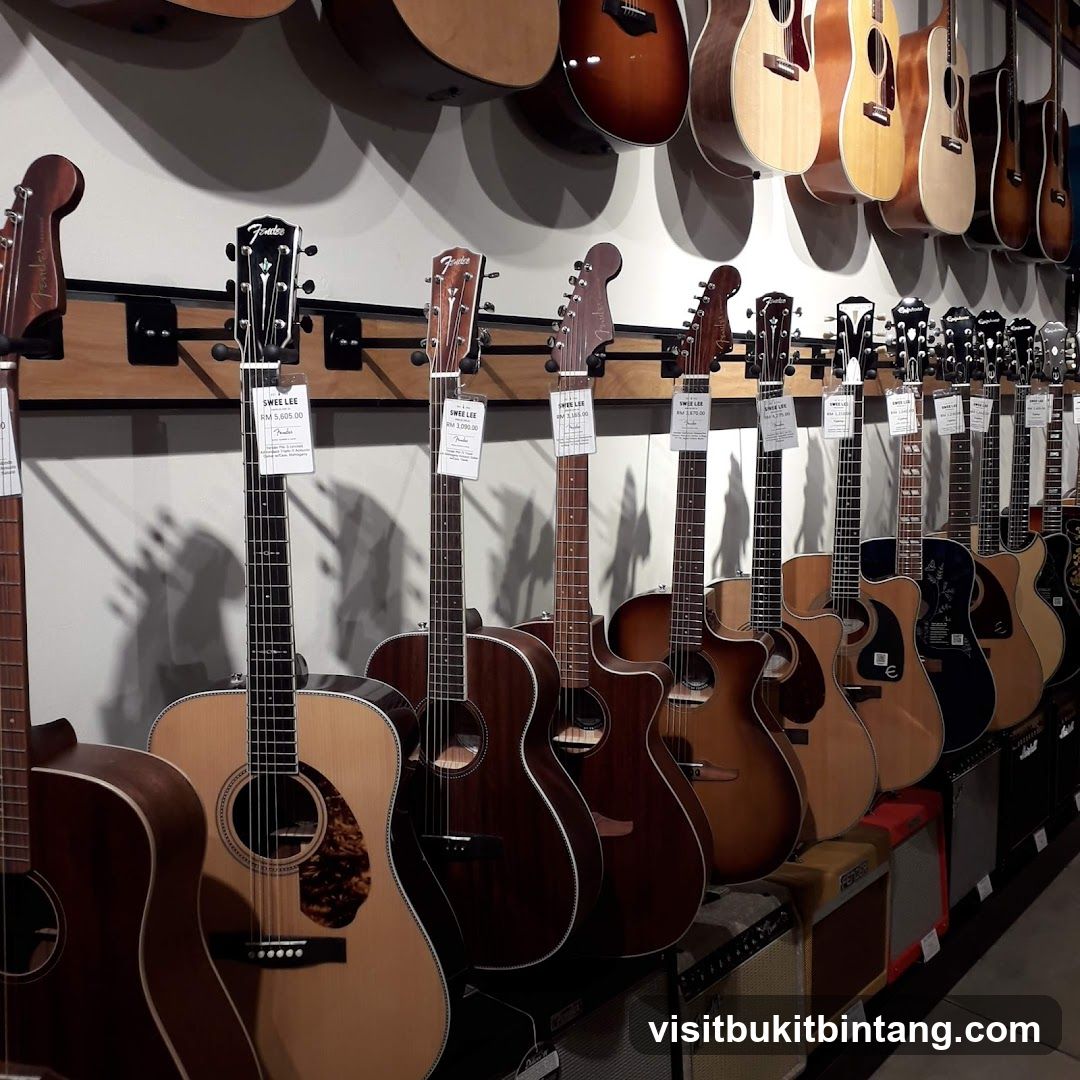 Guitars on Display