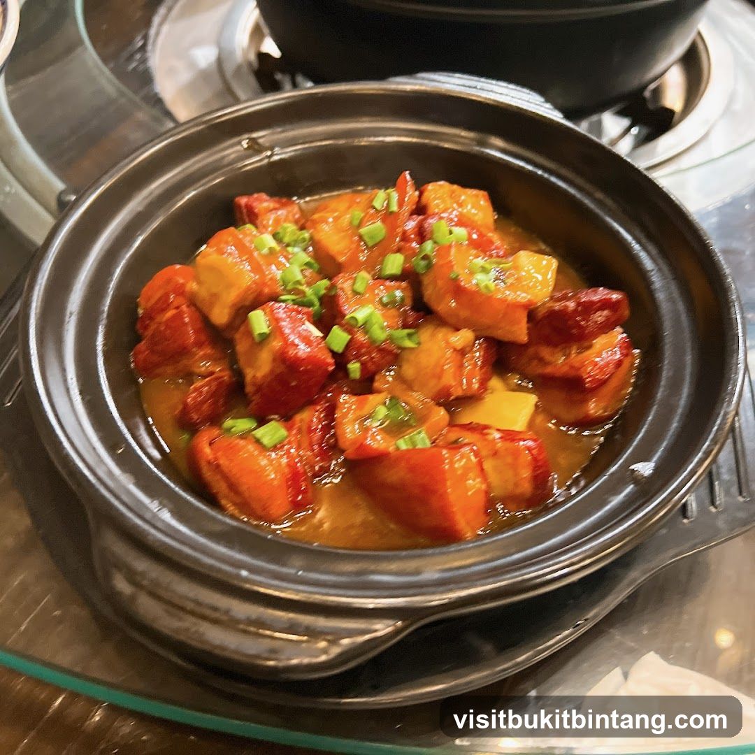 Savory Braised Dish in Clay Pot