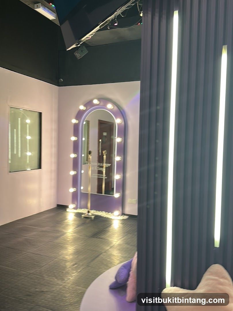 Vanity Mirror Area