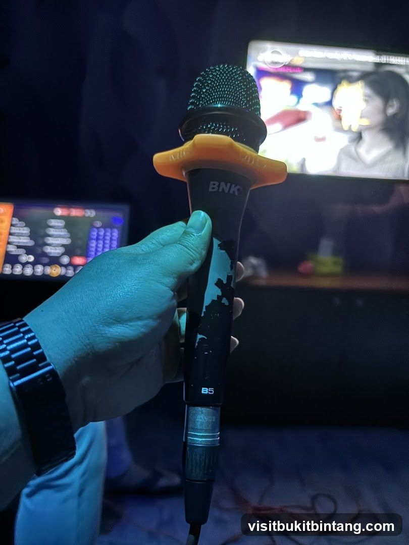 Microphone in a Karaoke Room