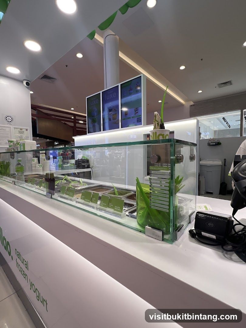 Frozen Yogurt Counter